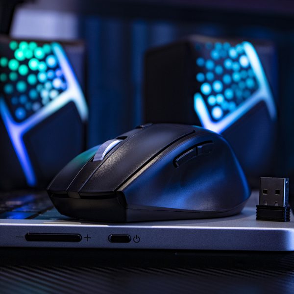 HAVIT MOUSE WIRELESS - MS58WB